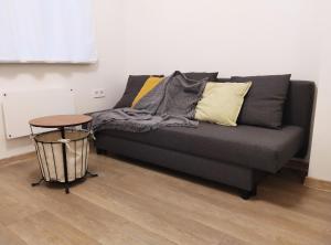 克莱佩达City center apartment的客房内的一张带枕头和桌子的灰色沙发