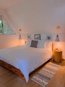 蒙泰韦尔德哥斯达黎加Amalú Monteverde的卧室配有一张大白色的床和地毯