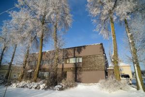 萨基爱伊Jundula的一座位于雪地中的建筑,靠近一些树木