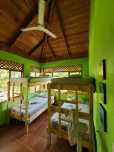 萨玛拉Casa Terra的一间设有两张双层床的卧室,位于绿色的墙壁上