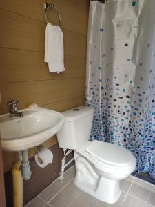 Glamping Tiny house的浴室配有白色卫生间和盥洗盆。