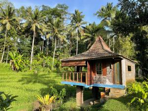 贾蒂卢维Tepi Sawah Lodge & Retreat的棕榈树田里的一个小房子