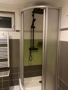 ChyšeChata s panoramatickou saunou的浴室里设有玻璃门淋浴