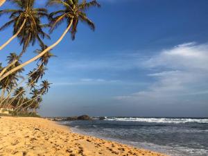 乌纳瓦图纳Hostel Singha Lounge的棕榈树海滩和海洋