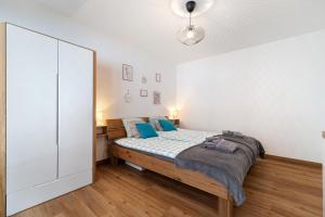 奥瓦伦纳茨Appartement chaleureux à Ovronnaz的一间卧室配有一张带蓝色枕头的床