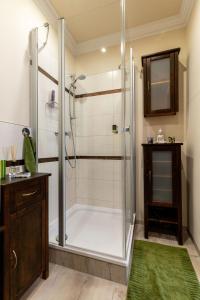 波茨坦Ferienwohnungen Romantika的带淋浴的浴室和玻璃门