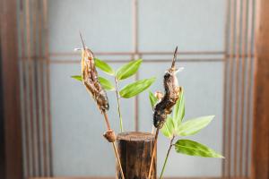 十和田Tsuta Onsen Ryokan的两个植物在花瓶里,有叶子