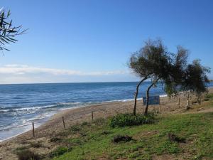马贝拉Villa Costa Marbella的一片种着树木和海洋的海滩