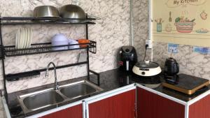 大叻Orchild House 1的厨房配有水槽和台面