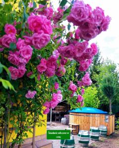 戈鲁别Willa Zamkowisko z ogrodowym jacuzzi的挂在树上的一束粉红色玫瑰