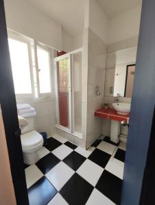 圣地亚哥Maktub Europa - Hostal Boutique的一间带卫生间和水槽的浴室