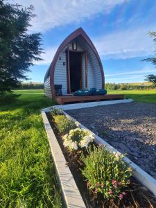 DerwenDelightful Camping Pod in Snowdonia, North Wales.的田间中的小房子