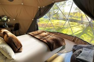 ChiddingstoneLuna Domes的一张位于带大窗户的帐篷内的床铺