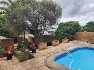 开普敦Little Greece的一座种植了盆栽植物的院子内的游泳池
