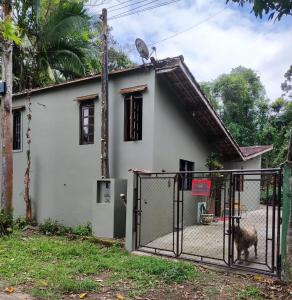 乌巴图巴热带天堂度假屋的狗站在有门的房子前