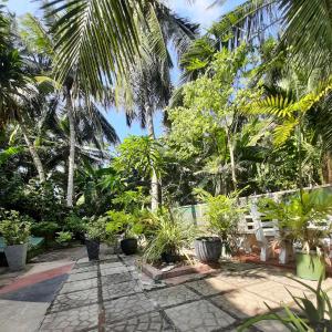 本托塔萨西维拉住宿加早餐旅馆的一座种有棕榈树和石头步道的花园