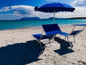 奥尔比亚斯特法尼亚海滩边酒店的海滩上的两把椅子和一把遮阳伞