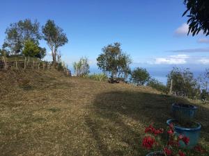 圣丹尼斯Gîte rural _ vue Océan _ des bateaux dans le ciel的一座小山,上面有植物和花