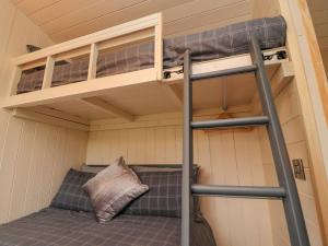 普雷斯顿Hillcrest Shepherds Hut的一个小房子里的双层床,有梯子