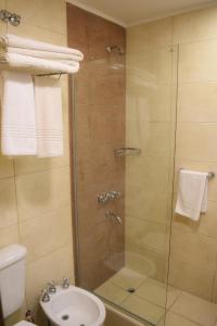 门多萨门多萨丽兹酒店的带淋浴、水槽和卫生间的浴室