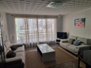 瓦伦西亚Apartamento Ruzafa的带沙发和电视的客厅