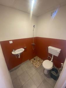 马普托Aeropark Residencial (B&B)的一间带卫生间和水槽的浴室