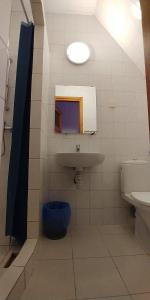 Schronisko PTTK na Jaworzynie Krynickiej的一间浴室