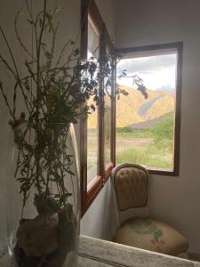 蒂尔卡拉La Nochera的一间设有窗户的房间,配有椅子和植物