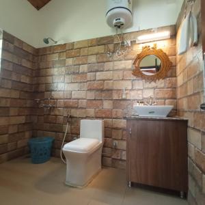 穆克缇斯瓦Raahi Cottages Mukteshwar的一间带卫生间、水槽和镜子的浴室