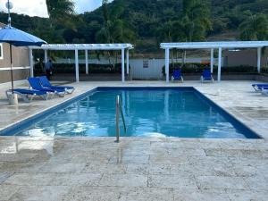 卢西Seamist villa @Oceanpointe Lucea comfy 2BR w/pool gym & parking的一个带蓝色椅子和遮阳伞的游泳池