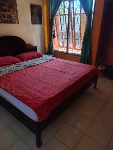帝力Casa Minha Backpackers Hostel的一张带红色棉被的床和一扇窗户