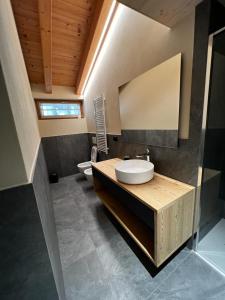 瓦尔迪登特罗YETI Design mountain apartments的一间带水槽和卫生间的浴室