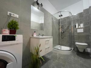 雅西Luxury Q Residence Near Center的带淋浴、盥洗盆和卫生间的浴室