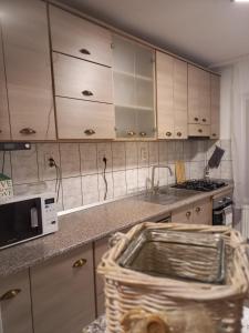 托普利察Apartament Ana的厨房配有水槽和微波炉