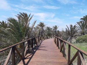 卡瓦内斯Bajo con gran terraza en Ribera de Cabanes的棕榈树海滩上的木桥