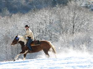 韦特利纳KURNACHATA的骑着马在雪中的人