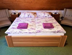 TelecíChalupa pod strání的一张带两张紫色枕头的床和两张椅子