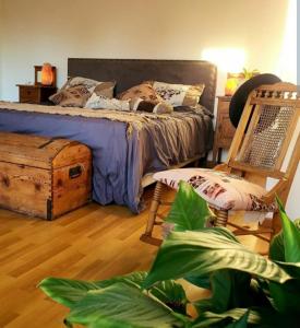 卡门-德巴塔哥内斯Única的一间卧室配有床、椅子和植物
