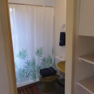 拉佩德雷拉Posada IRSIS的浴室配有带卫生间的淋浴帘