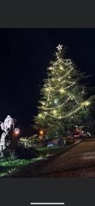 桑提亚纳德玛Las Cavernas Del Bisonte的一大棵圣诞树在晚上点亮