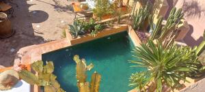 马拉喀什梅尔霍恩摩洛哥传统庭院旅馆及Spa的仙人掌游泳池的顶部景观