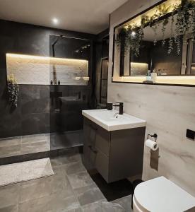 泰恩河畔纽卡斯尔NE1 Luxury City Centre Apartment的一间带水槽、卫生间和淋浴的浴室