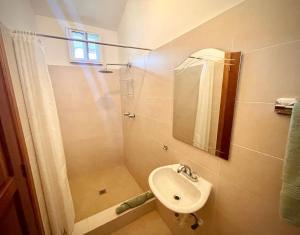 博卡斯德尔托罗Pineapple House的一间带水槽和淋浴的浴室