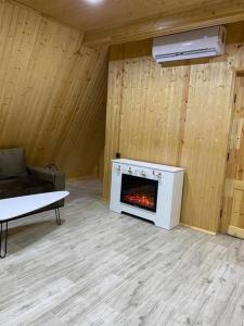 迪利然Green Villa Resort White的客厅设有木墙壁炉