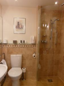 里彭老马车旅馆的带淋浴、卫生间和盥洗盆的浴室