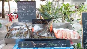班柯木柯木海景简易别墅旅馆的海鲜市场出售的鱼展