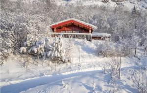 海姆瑟达尔Awesome Home In Hemsedal With Wifi的雪中小屋,有雪覆盖的树木