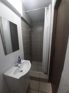 布拉索夫Vila Dionysos Brasov的浴室配有盥洗盆和带镜子的淋浴