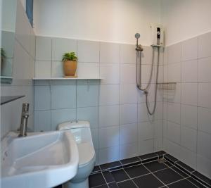 高兰The Blue Gecko的浴室配有卫生间、盥洗盆和淋浴。
