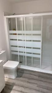 帕德隆Casa dos Cantares的白色的浴室设有卫生间和淋浴。